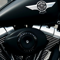 Harley Rules